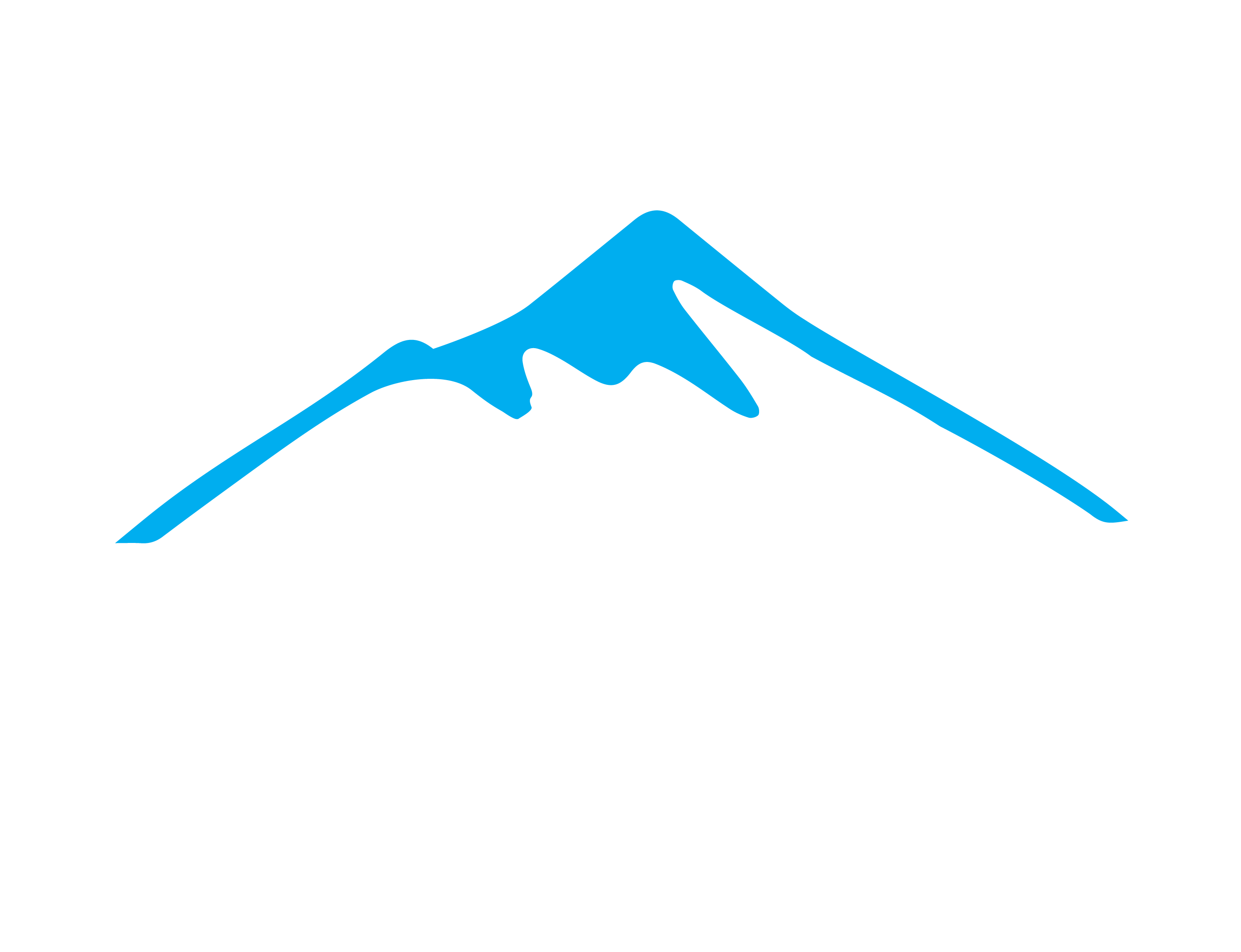 Estaquilla Logo